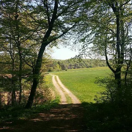 Vogtshof Von Wetteldorf 3* Schönecken