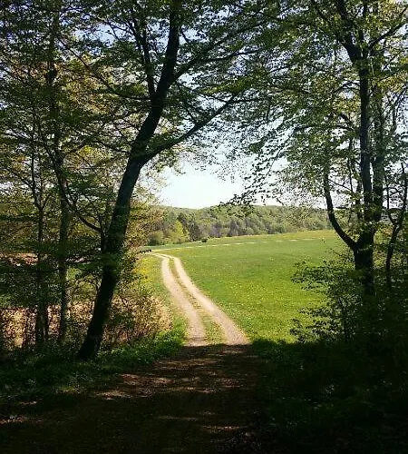 Vogtshof Von Wetteldorf 3* Schonecken